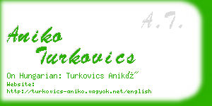 aniko turkovics business card